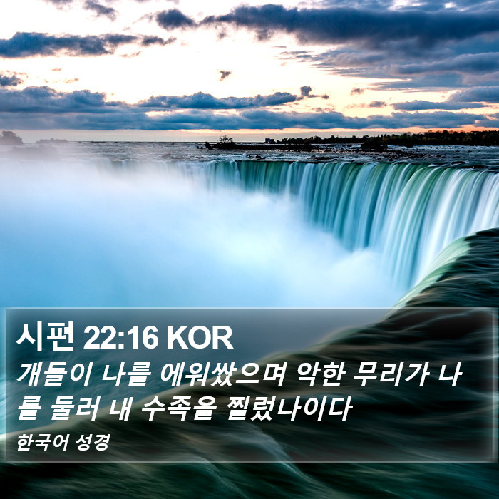 시편 22:16 KOR Bible Study
