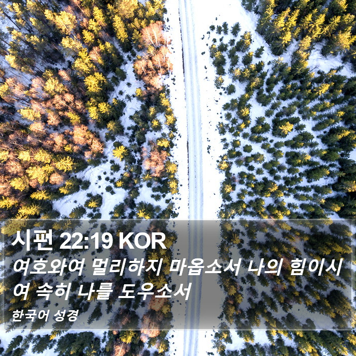 시편 22:19 KOR Bible Study