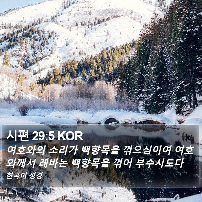 시편 29:5 KOR Bible Study