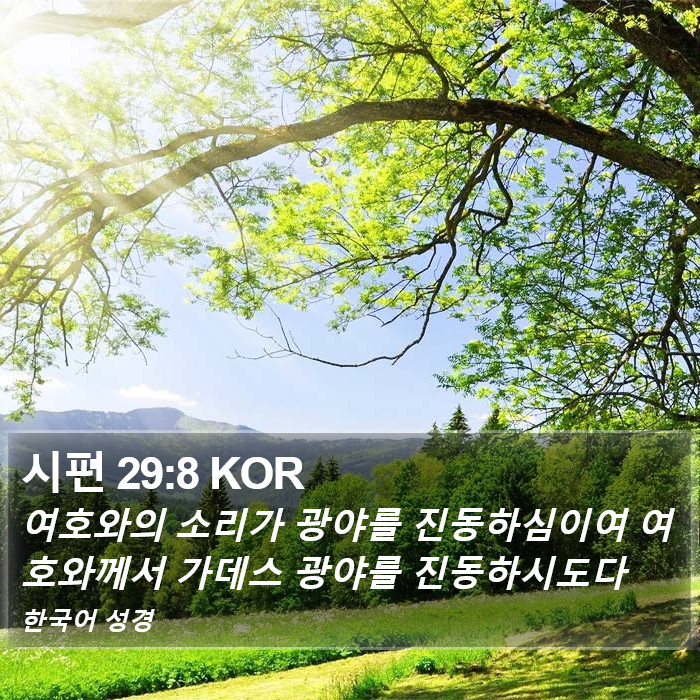 시편 29:8 KOR Bible Study