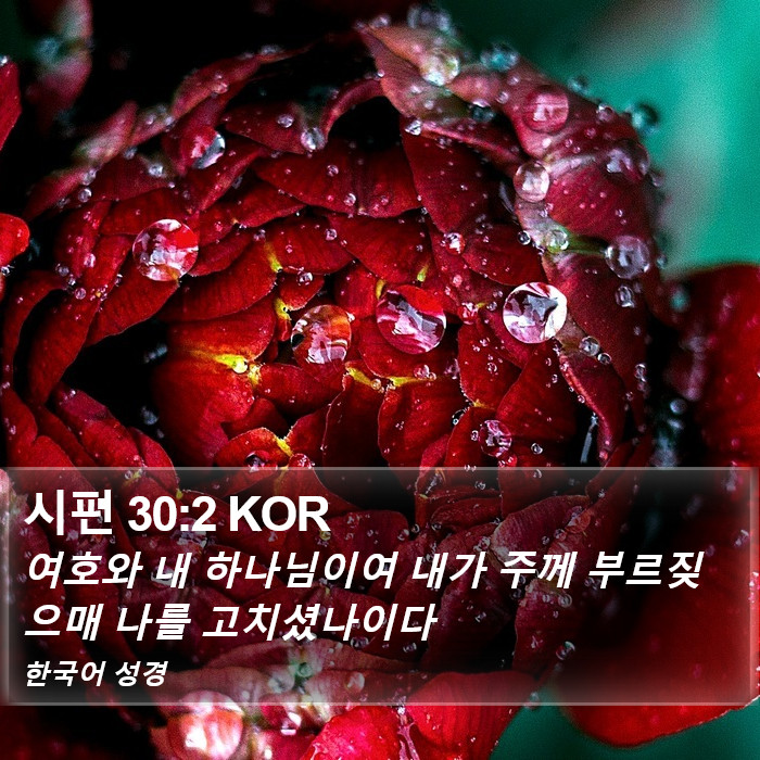 시편 30:2 KOR Bible Study