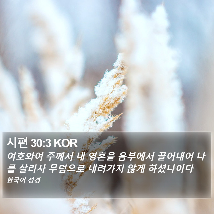 시편 30:3 KOR Bible Study