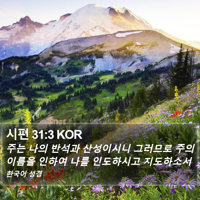 시편 31:3 KOR Bible Study