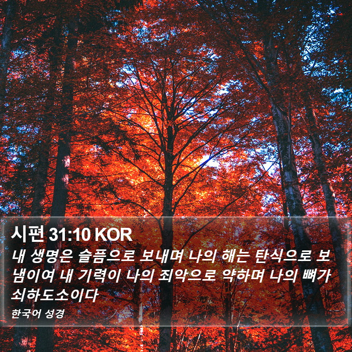 시편 31:10 KOR Bible Study