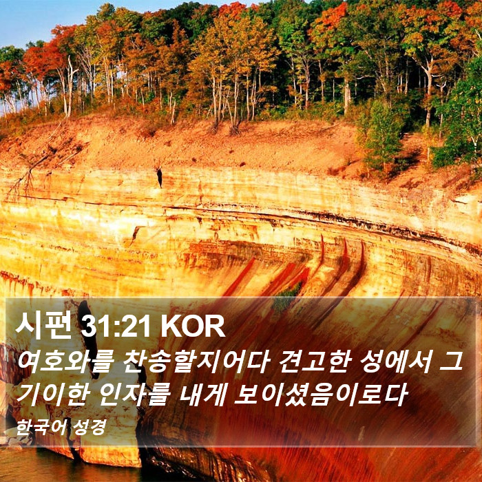 시편 31:21 KOR Bible Study