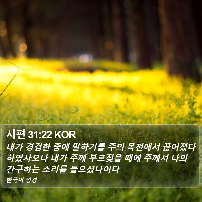 시편 31:22 KOR Bible Study