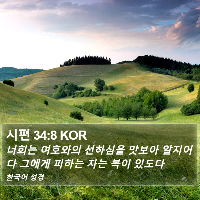시편 34:8 KOR Bible Study