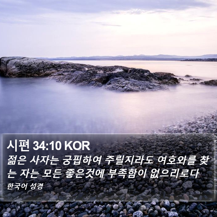 시편 34:10 KOR Bible Study