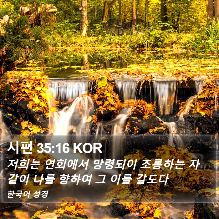 시편 35:16 KOR Bible Study