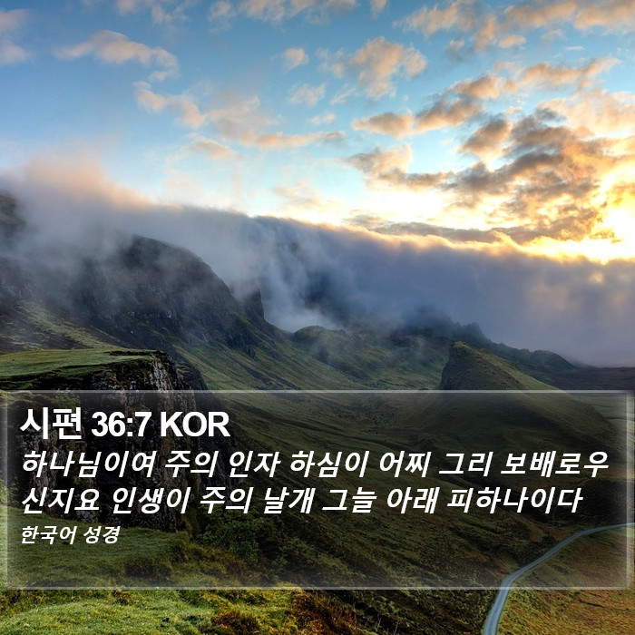 시편 36:7 KOR Bible Study