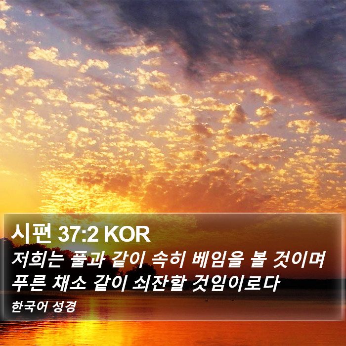 시편 37:2 KOR Bible Study