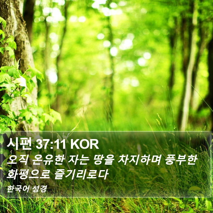 시편 37:11 KOR Bible Study