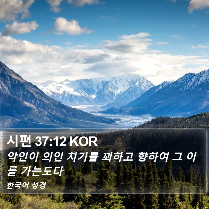 시편 37:12 KOR Bible Study