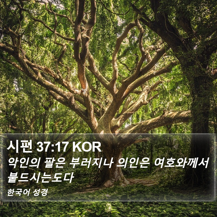 시편 37:17 KOR Bible Study