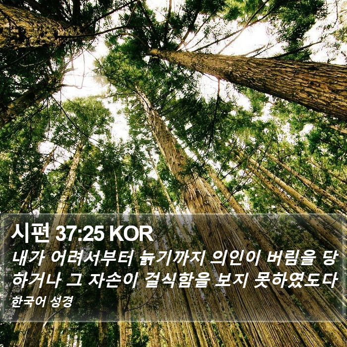 시편 37:25 KOR Bible Study