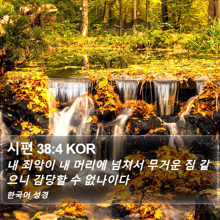 시편 38:4 KOR Bible Study