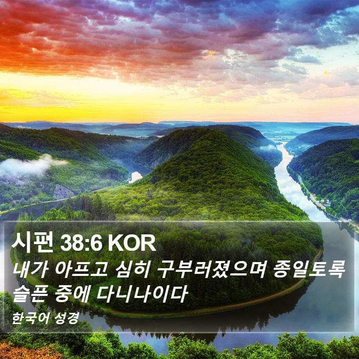 시편 38:6 KOR Bible Study