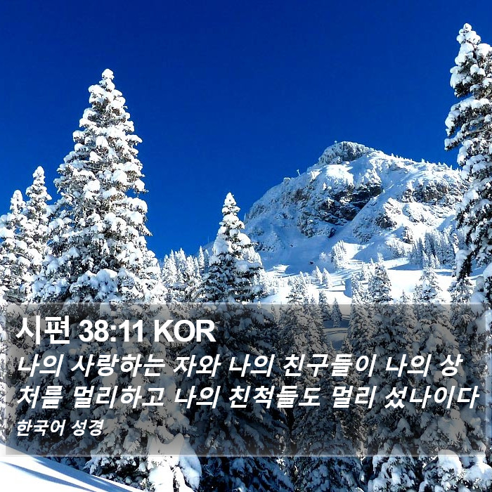 시편 38:11 KOR Bible Study