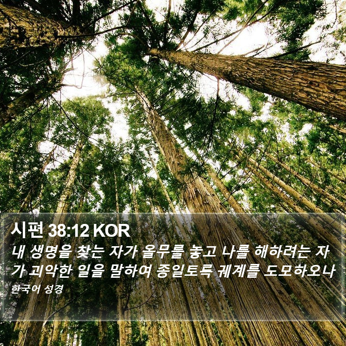 시편 38:12 KOR Bible Study