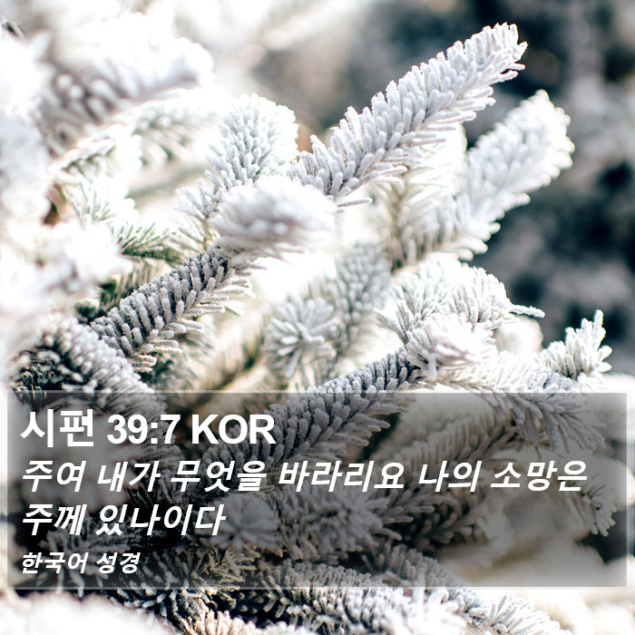 시편 39:7 KOR Bible Study