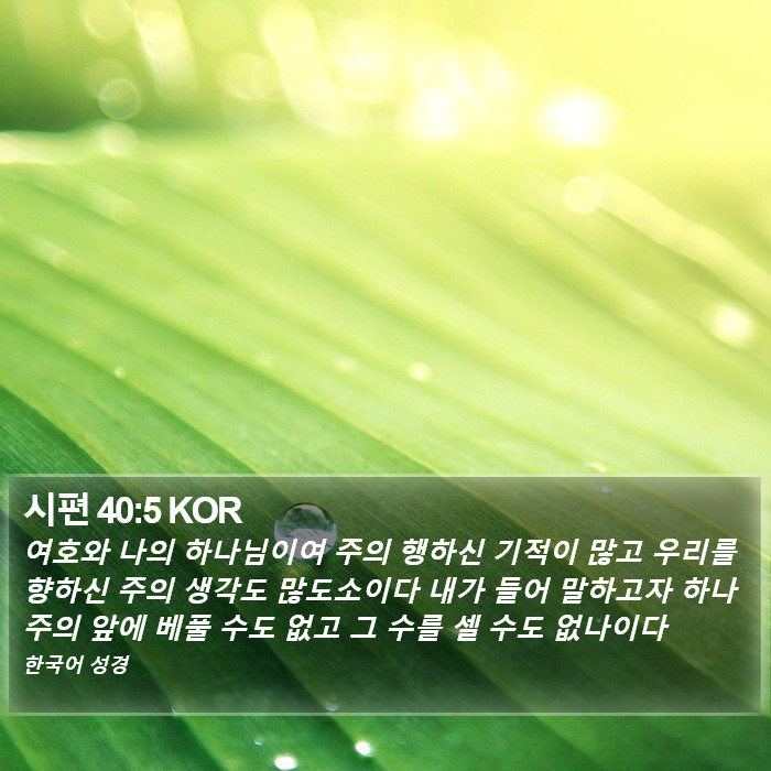 시편 40:5 KOR Bible Study