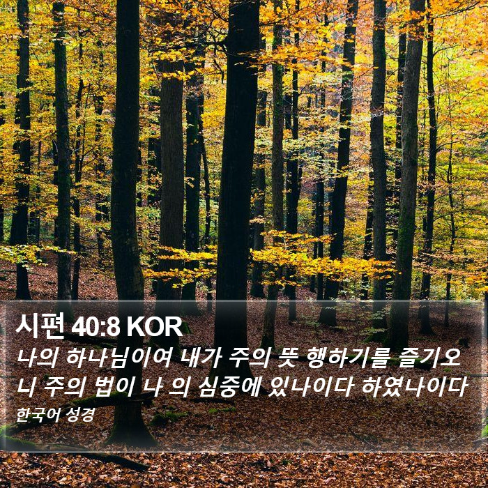 시편 40:8 KOR Bible Study