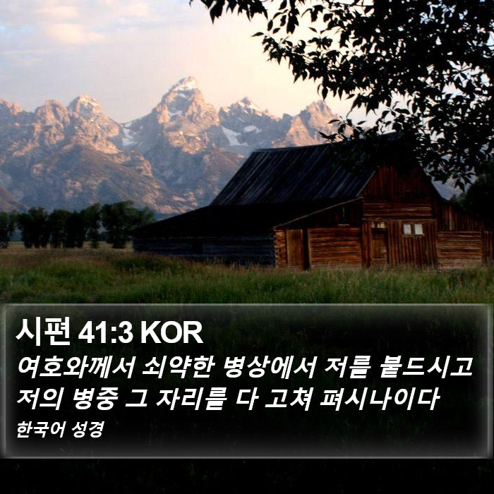 시편 41:3 KOR Bible Study