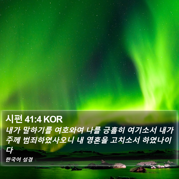 시편 41:4 KOR Bible Study