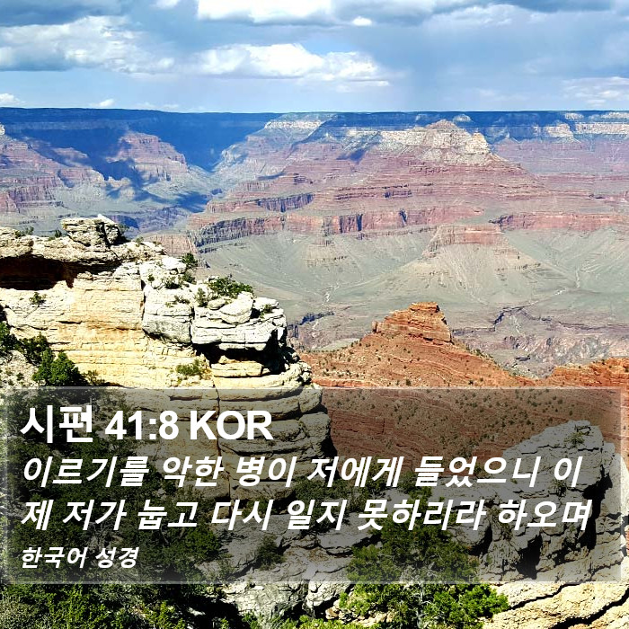 시편 41:8 KOR Bible Study