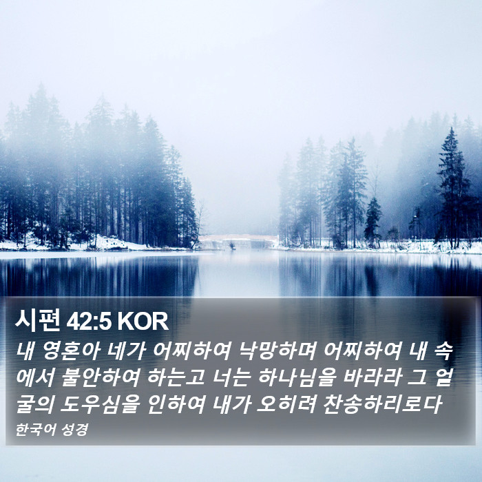 시편 42:5 KOR Bible Study
