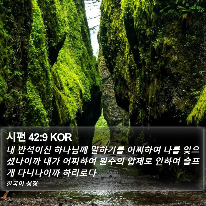 시편 42:9 KOR Bible Study