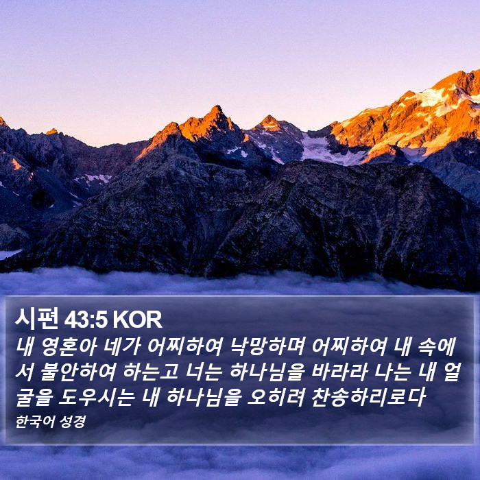 시편 43:5 KOR Bible Study