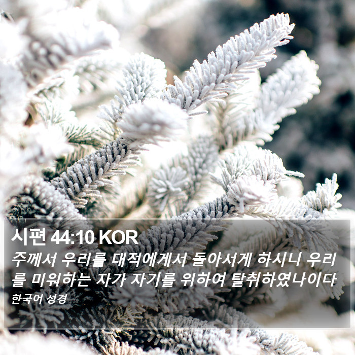 시편 44:10 KOR Bible Study