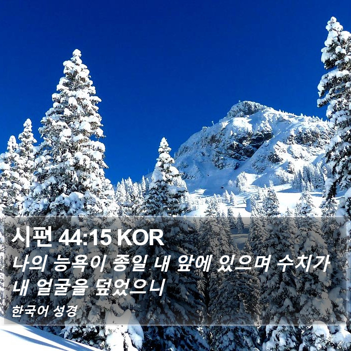 시편 44:15 KOR Bible Study