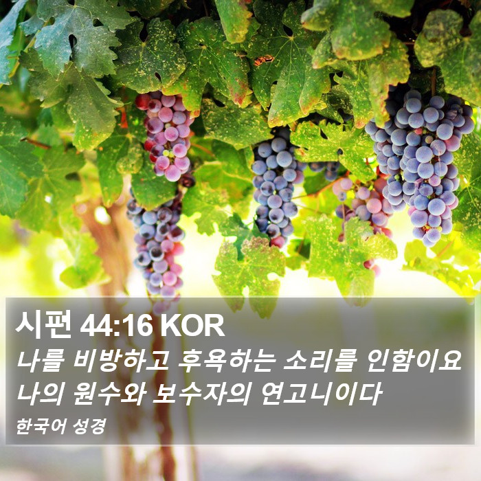 시편 44:16 KOR Bible Study