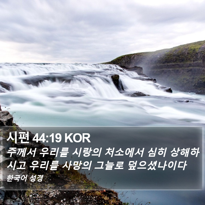 시편 44:19 KOR Bible Study