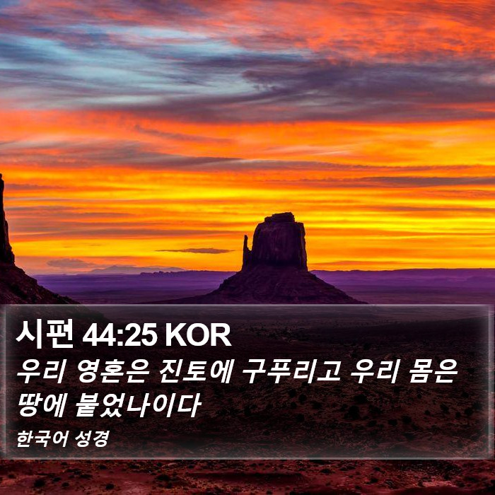 시편 44:25 KOR Bible Study