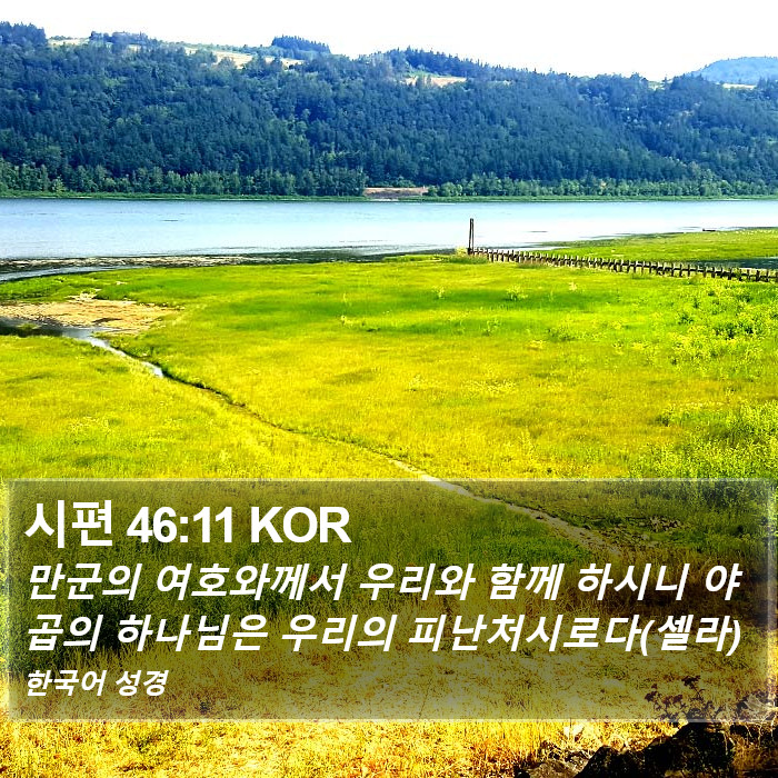 시편 46:11 KOR Bible Study