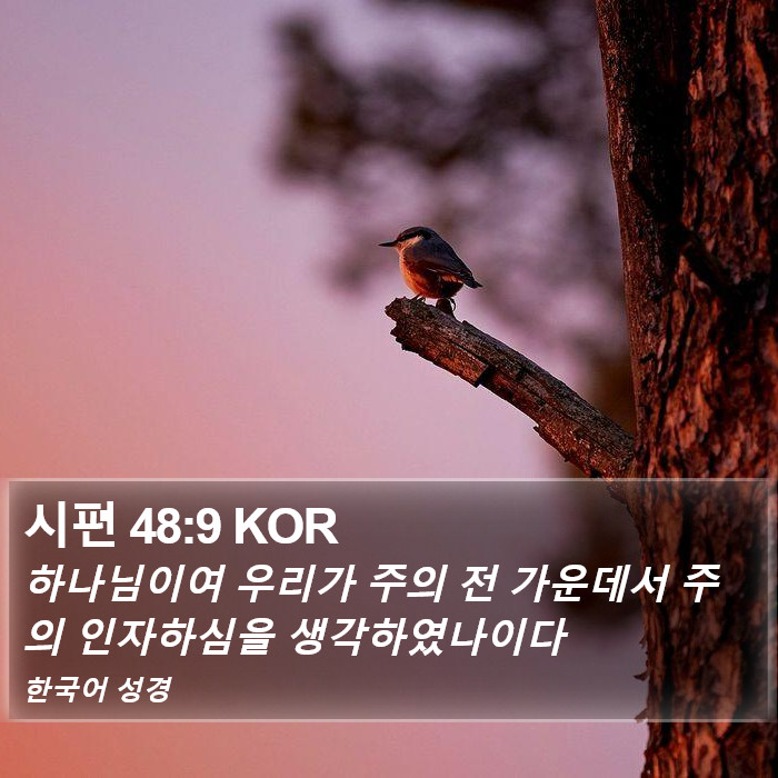 시편 48:9 KOR Bible Study