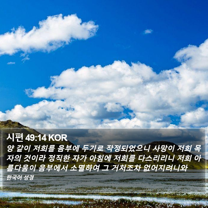 시편 49:14 KOR Bible Study