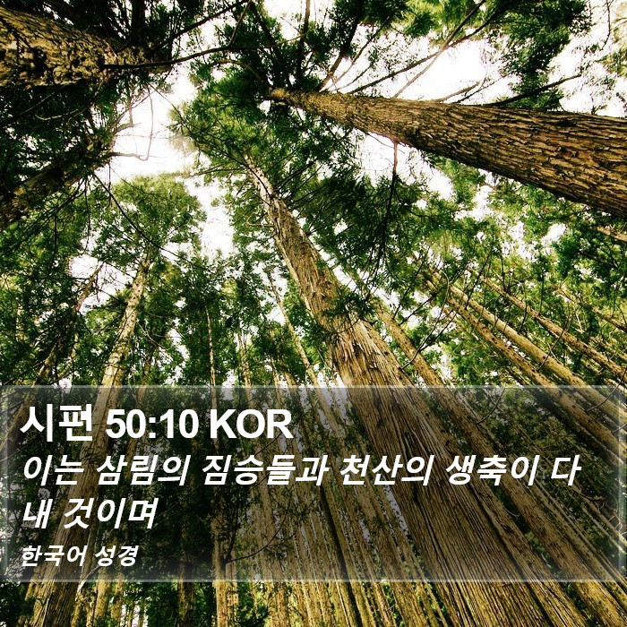 시편 50:10 KOR Bible Study