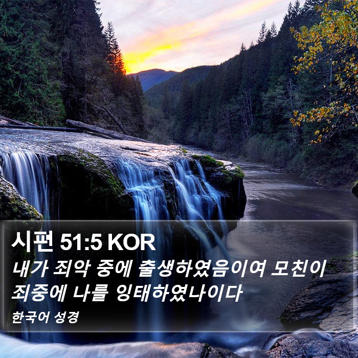 시편 51:5 KOR Bible Study