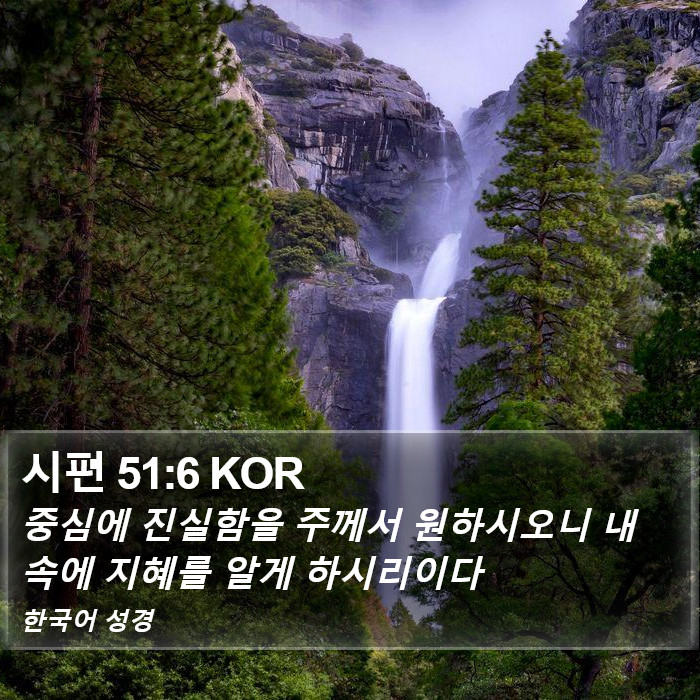 시편 51:6 KOR Bible Study