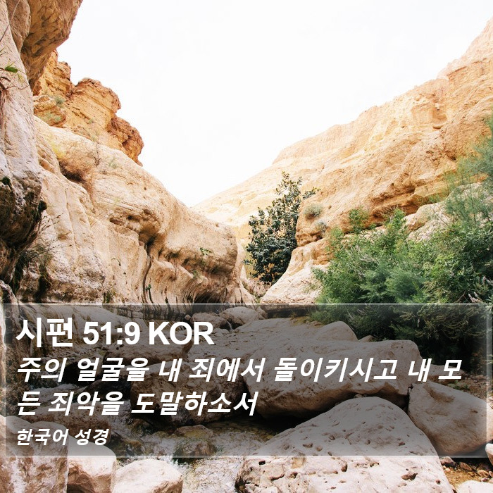 시편 51:9 KOR Bible Study