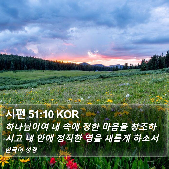 시편 51:10 KOR Bible Study