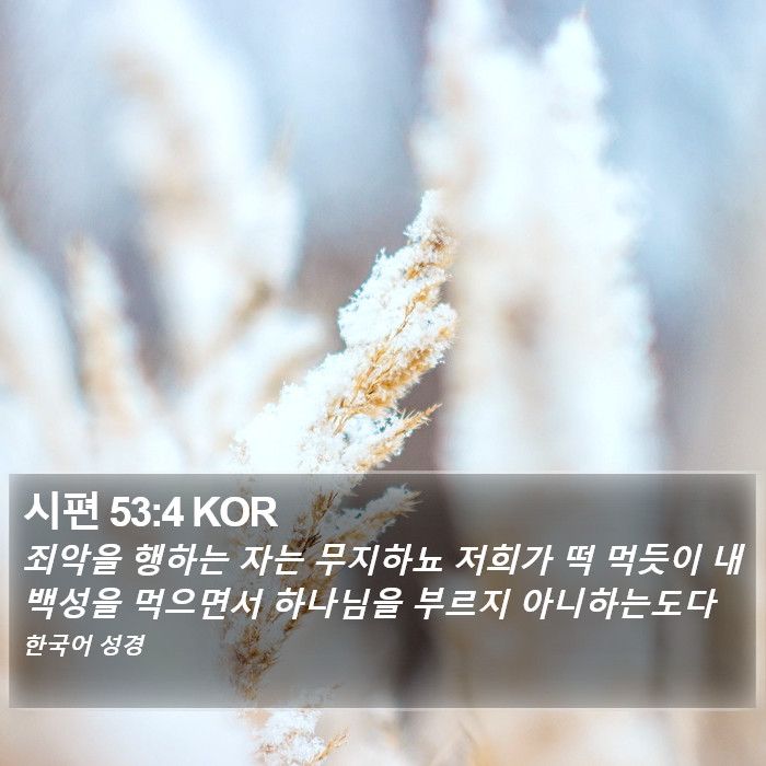 시편 53:4 KOR Bible Study