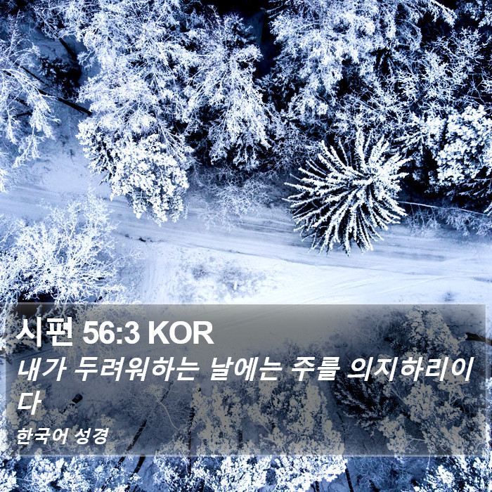 시편 56:3 KOR Bible Study