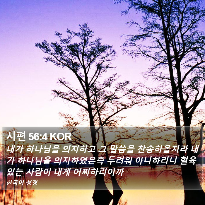 시편 56:4 KOR Bible Study
