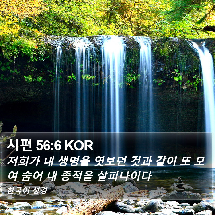 시편 56:6 KOR Bible Study