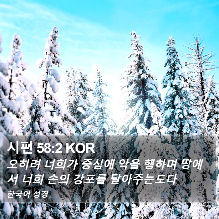 시편 58:2 KOR Bible Study